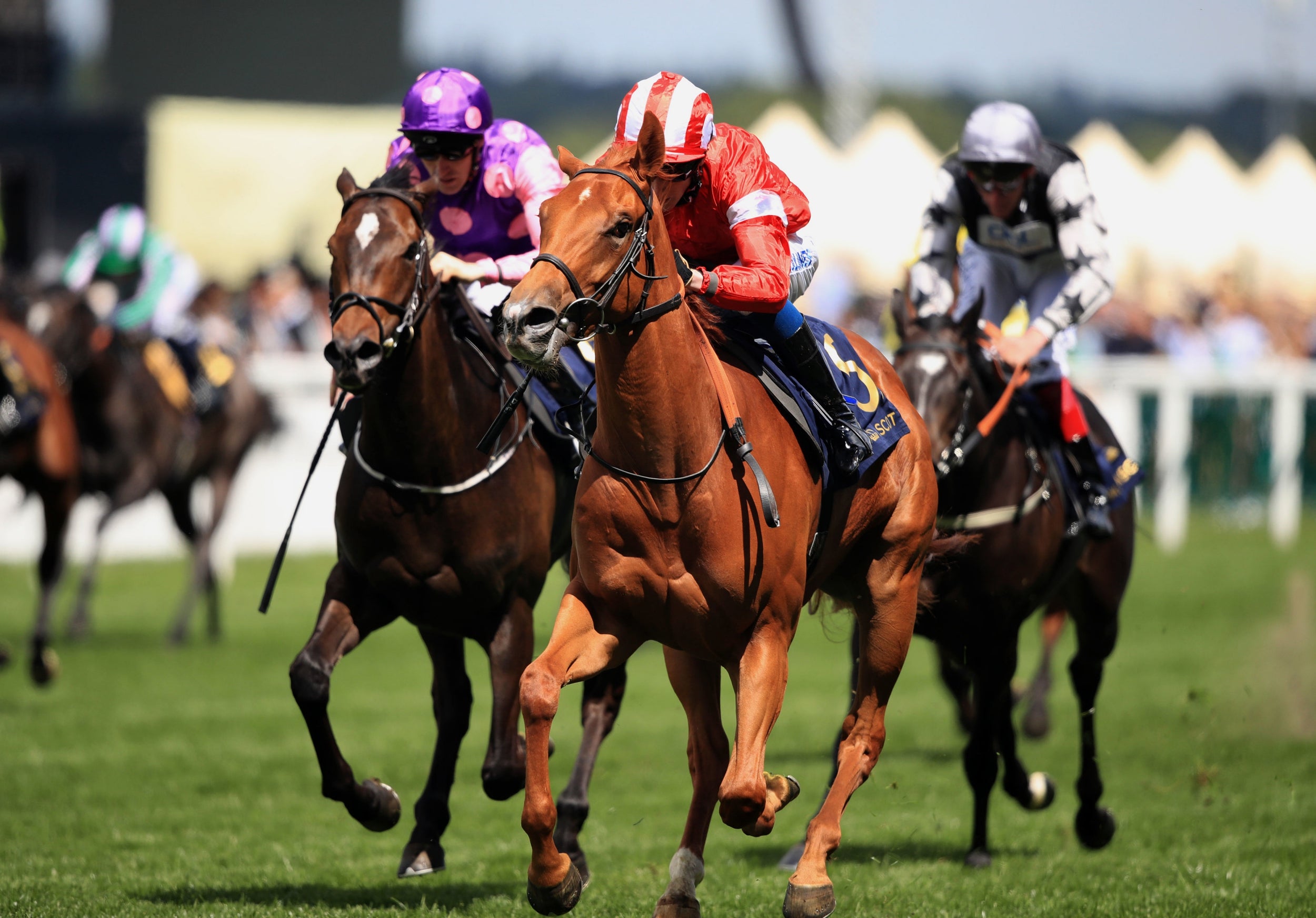 Top the biggest horse races in the world